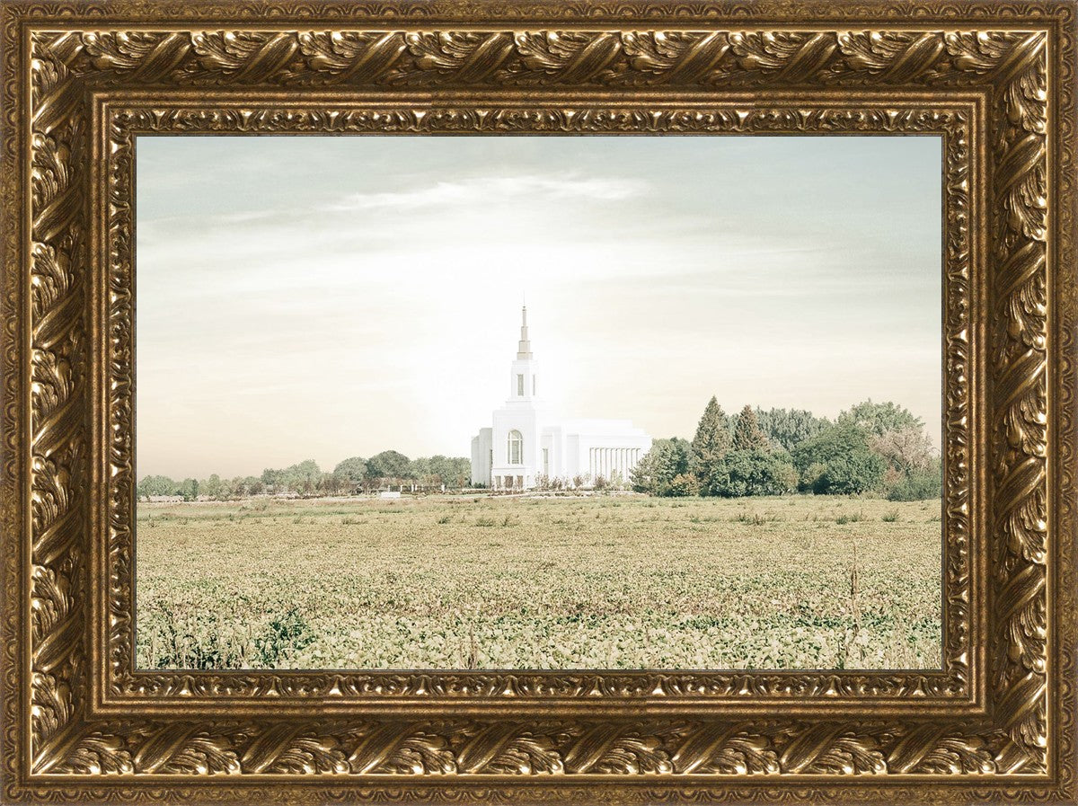 Burley Idaho Immaculate Embrace Pastel