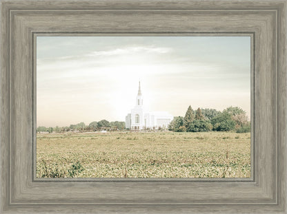 Burley Idaho Immaculate Embrace Pastel