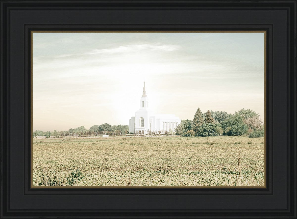 Burley Idaho Immaculate Embrace Pastel