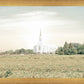 Burley Idaho Immaculate Embrace Pastel