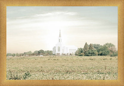 Burley Idaho Immaculate Embrace Pastel