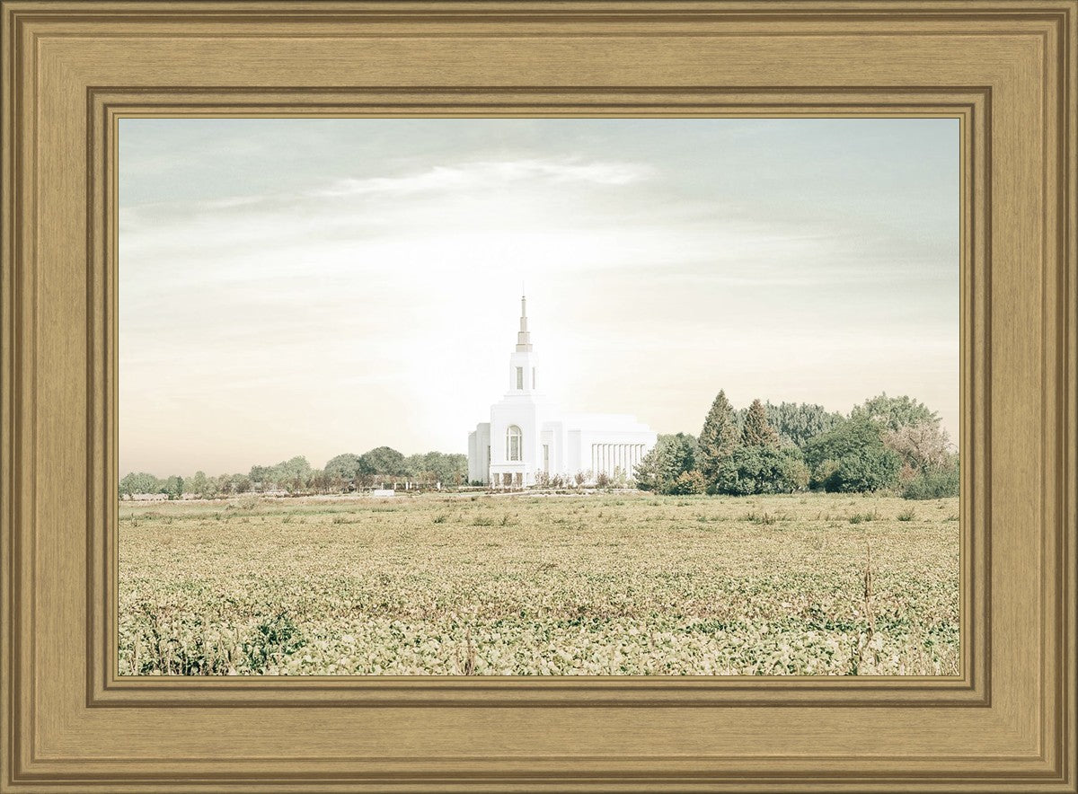 Burley Idaho Immaculate Embrace Pastel