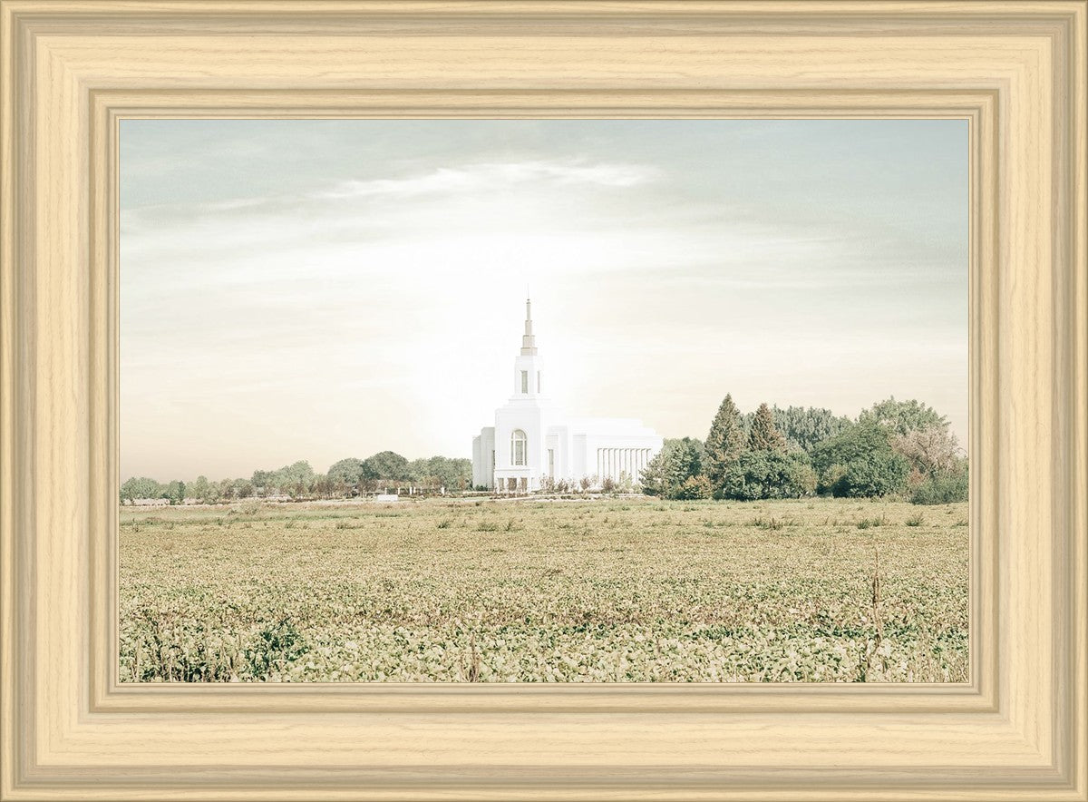 Burley Idaho Immaculate Embrace Pastel