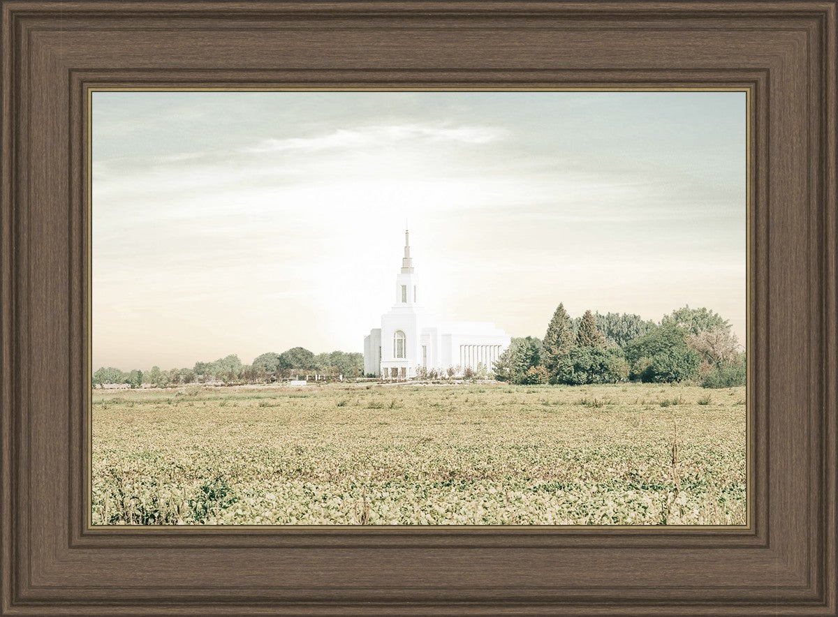 Burley Idaho Immaculate Embrace Pastel
