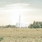 Burley Idaho Immaculate Embrace Pastel
