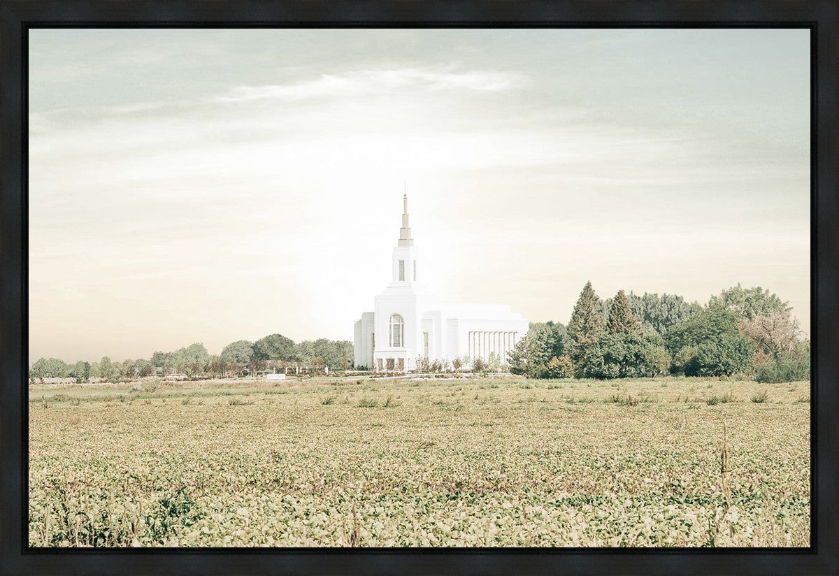 Burley Idaho Immaculate Embrace Pastel