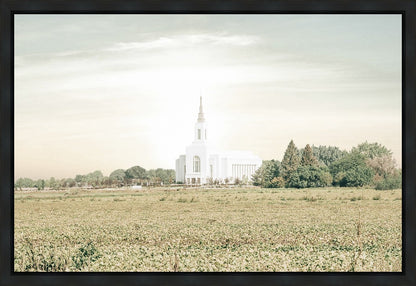 Burley Idaho Immaculate Embrace Pastel