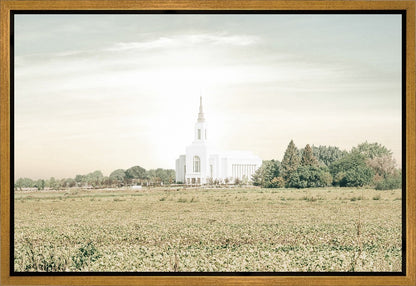 Burley Idaho Immaculate Embrace Pastel