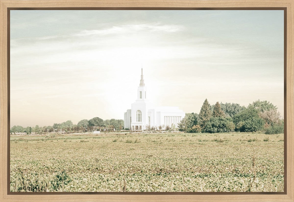 Burley Idaho Immaculate Embrace Pastel