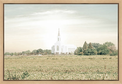 Burley Idaho Immaculate Embrace Pastel