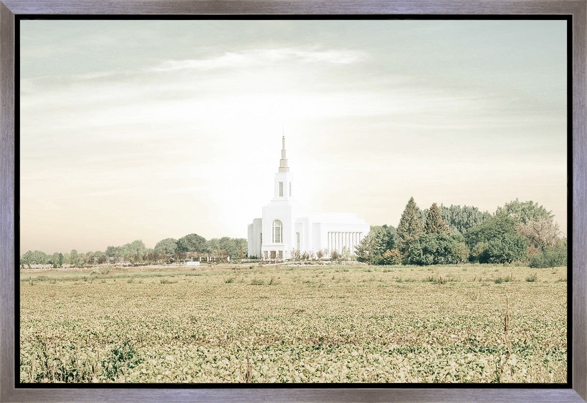 Burley Idaho Immaculate Embrace Pastel