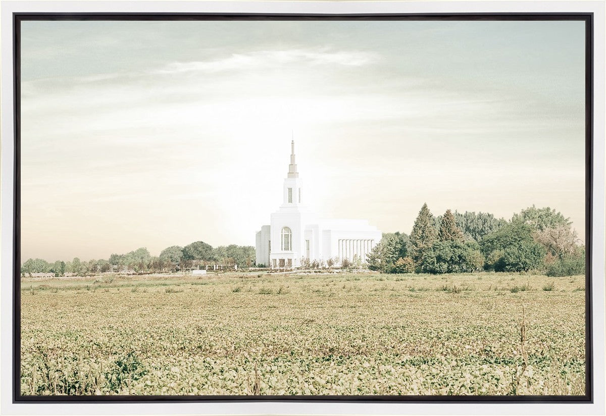 Burley Idaho Immaculate Embrace Pastel