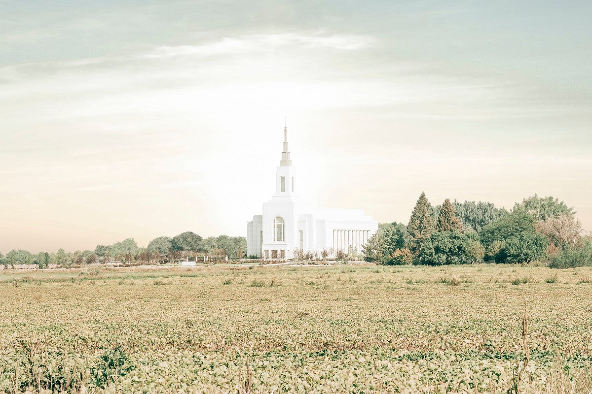 Burley Idaho Immaculate Embrace Pastel