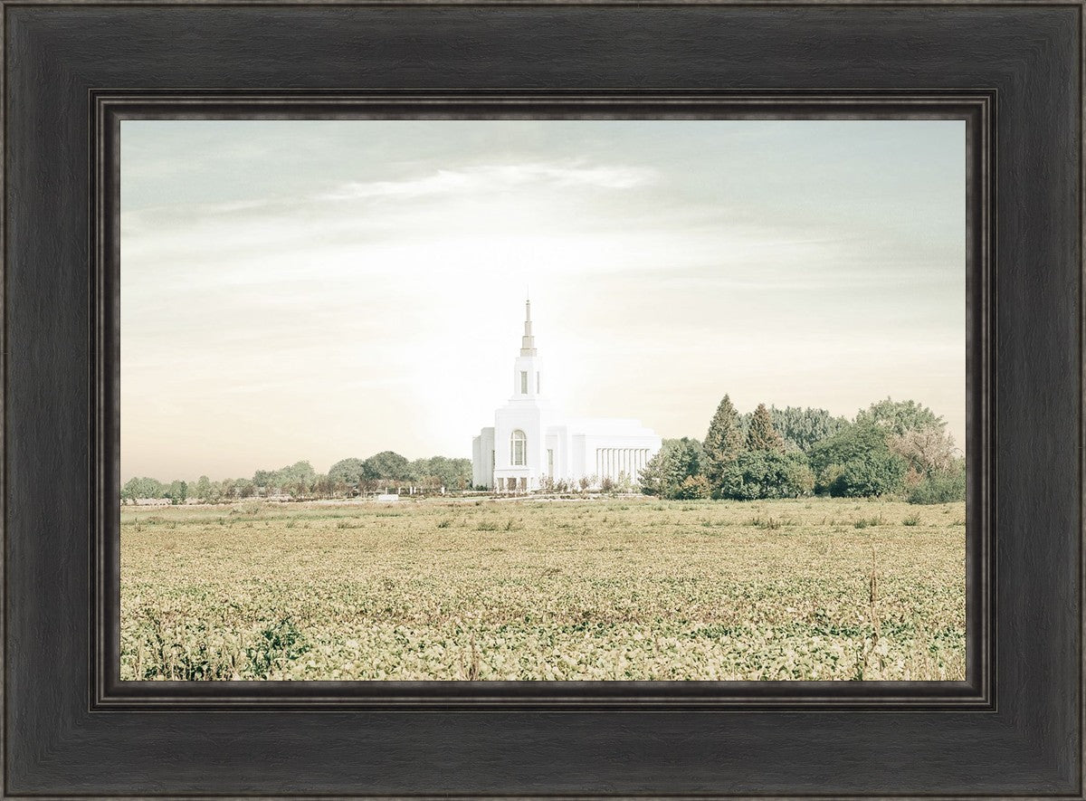 Burley Idaho Immaculate Embrace Pastel