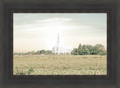 Burley Idaho Immaculate Embrace Pastel