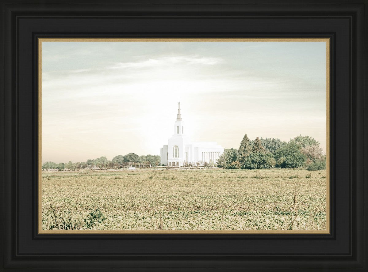Burley Idaho Immaculate Embrace Pastel