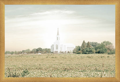 Burley Idaho Immaculate Embrace Pastel