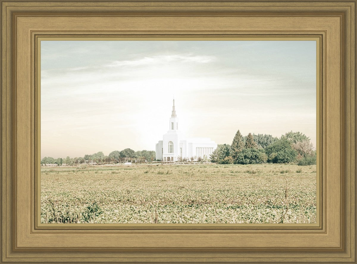 Burley Idaho Immaculate Embrace Pastel