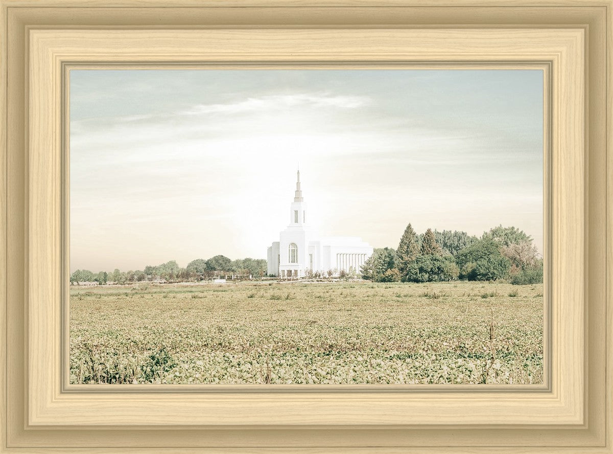 Burley Idaho Immaculate Embrace Pastel