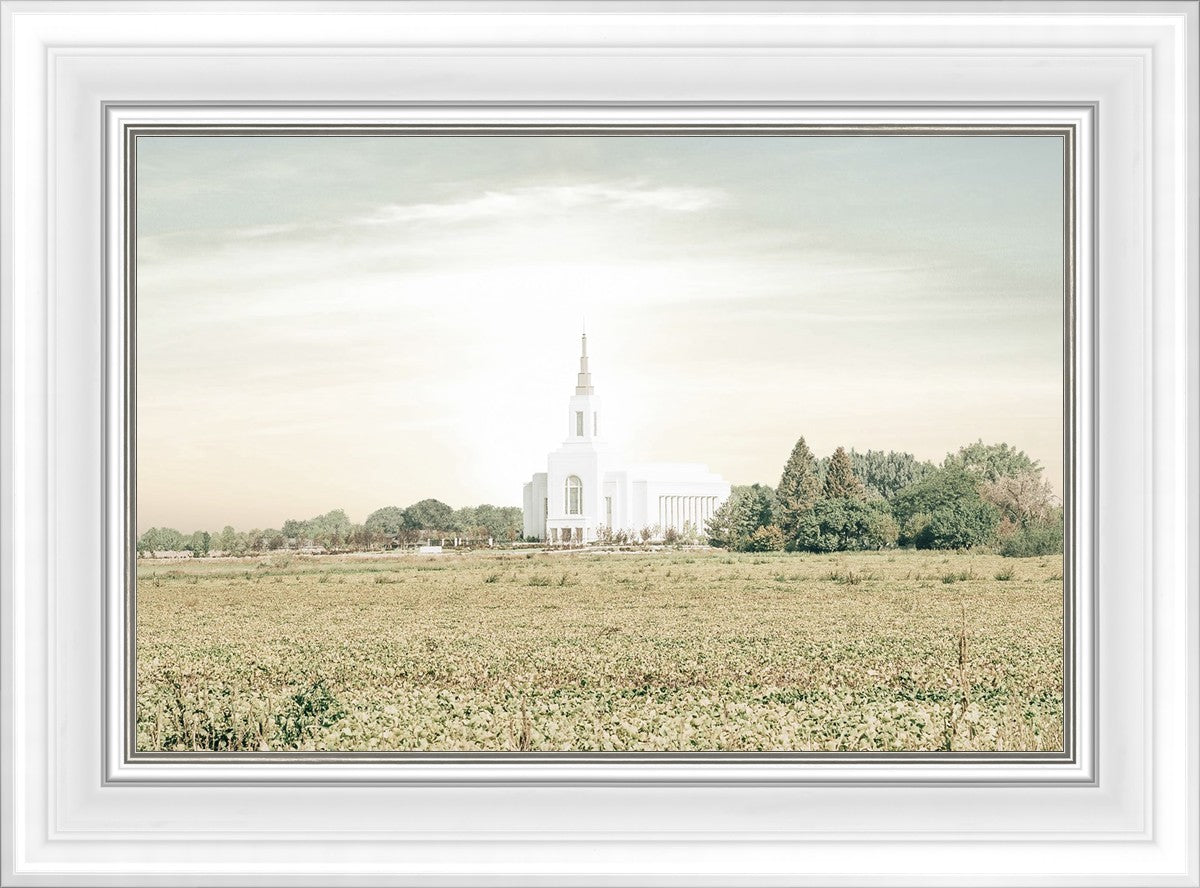 Burley Idaho Immaculate Embrace Pastel