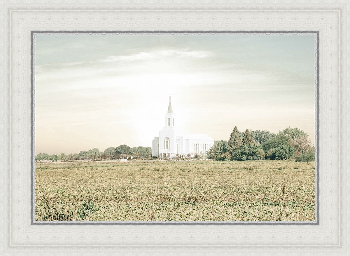 Burley Idaho Immaculate Embrace Pastel