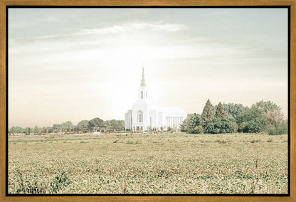 Burley Idaho Immaculate Embrace Pastel