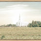 Burley Idaho Immaculate Embrace Pastel