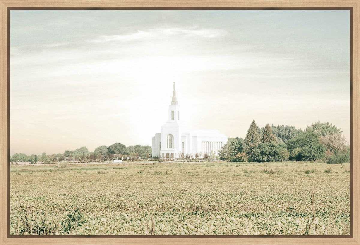 Burley Idaho Immaculate Embrace Pastel