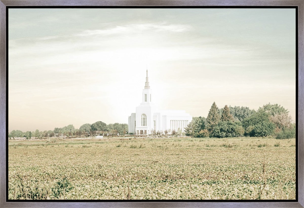 Burley Idaho Immaculate Embrace Pastel