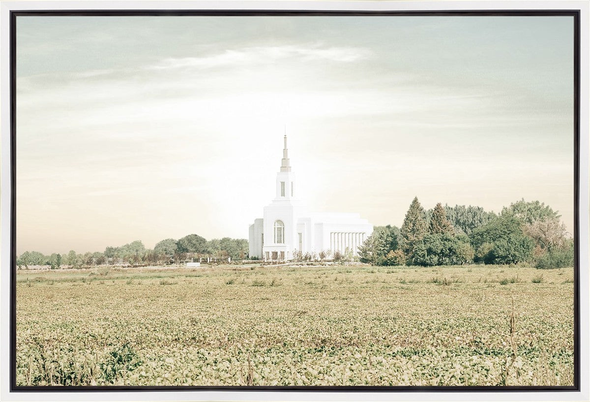 Burley Idaho Immaculate Embrace Pastel