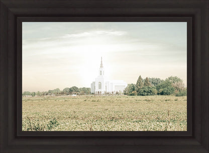 Burley Idaho Immaculate Embrace Pastel