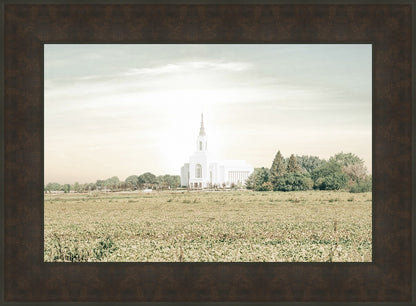 Burley Idaho Immaculate Embrace Pastel