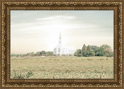 Burley Idaho Immaculate Embrace Pastel