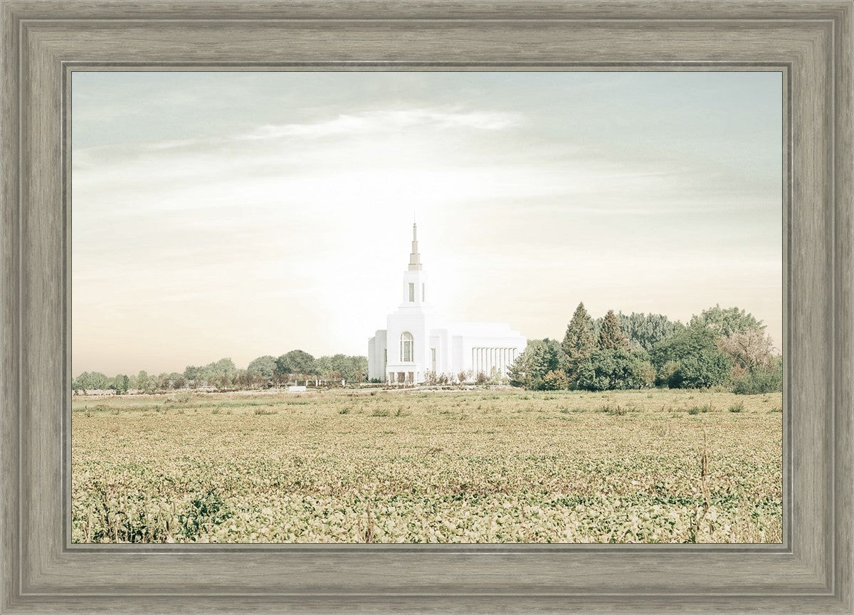 Burley Idaho Immaculate Embrace Pastel