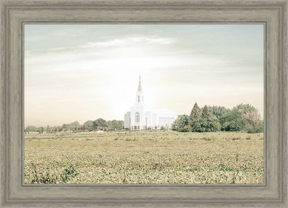 Burley Idaho Immaculate Embrace Pastel