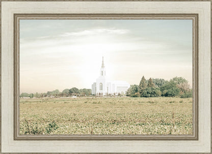 Burley Idaho Immaculate Embrace Pastel