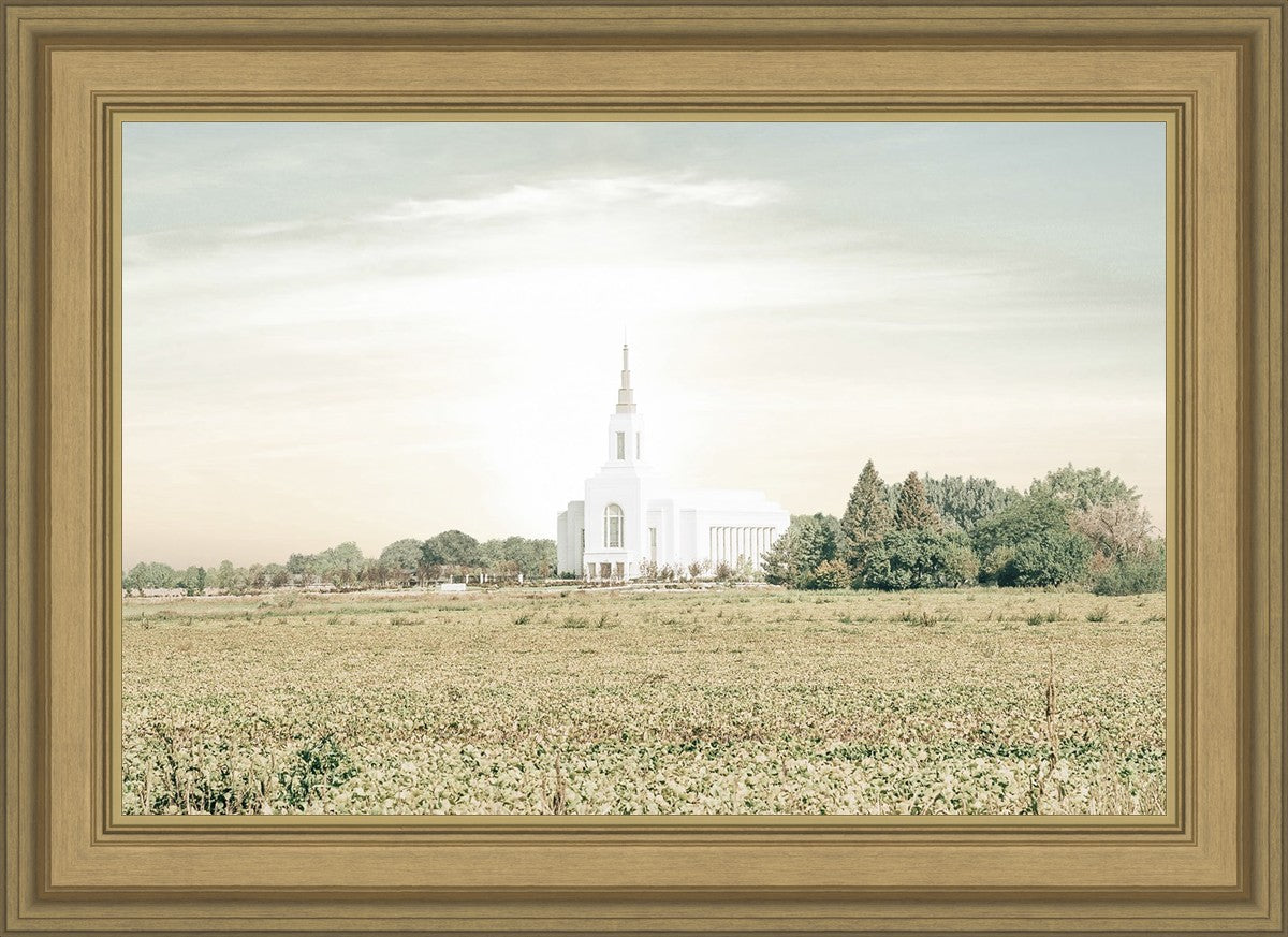 Burley Idaho Immaculate Embrace Pastel