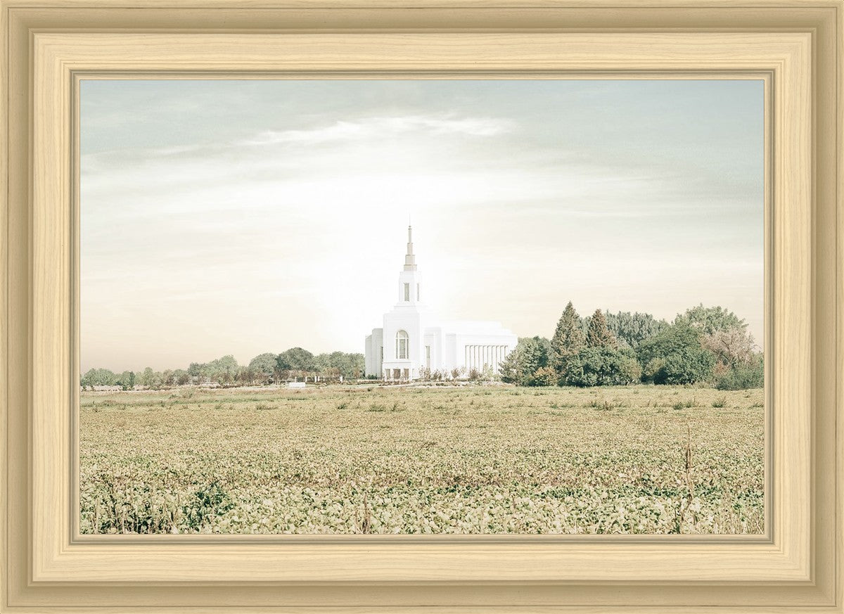 Burley Idaho Immaculate Embrace Pastel