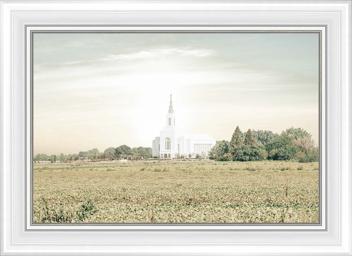 Burley Idaho Immaculate Embrace Pastel