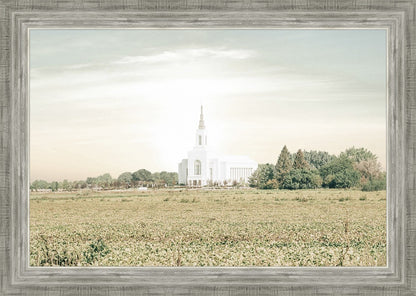 Burley Idaho Immaculate Embrace Pastel