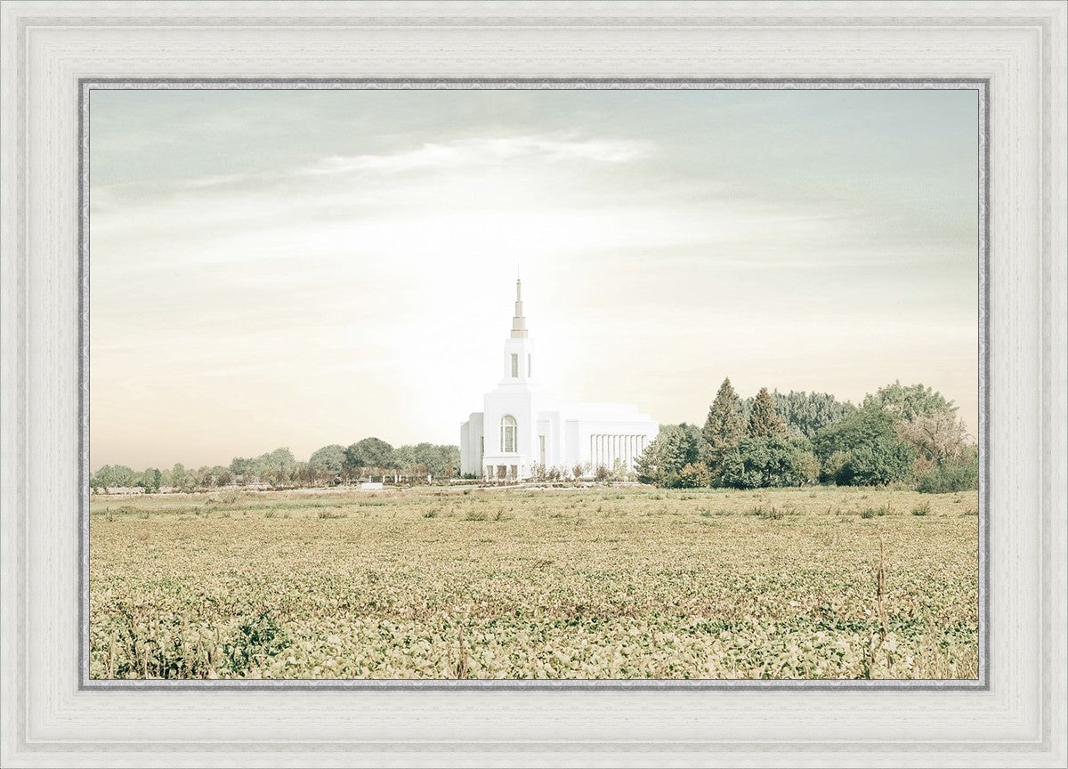 Burley Idaho Immaculate Embrace Pastel