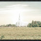 Burley Idaho Immaculate Embrace Pastel