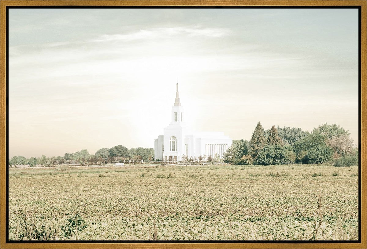 Burley Idaho Immaculate Embrace Pastel