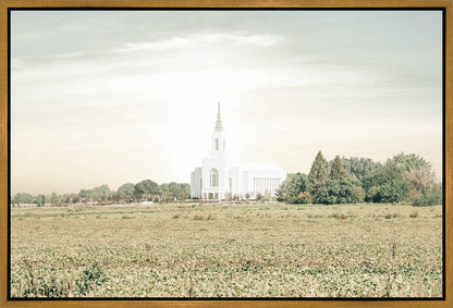 Burley Idaho Immaculate Embrace Pastel