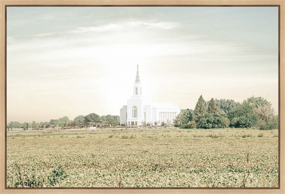 Burley Idaho Immaculate Embrace Pastel