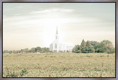 Burley Idaho Immaculate Embrace Pastel