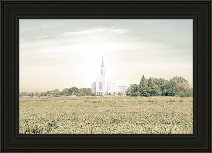 Burley Idaho Immaculate Embrace Pastel