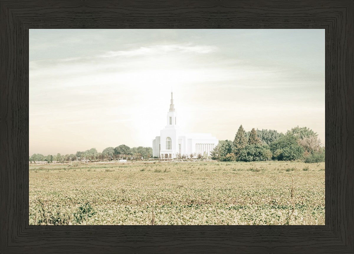 Burley Idaho Immaculate Embrace Pastel