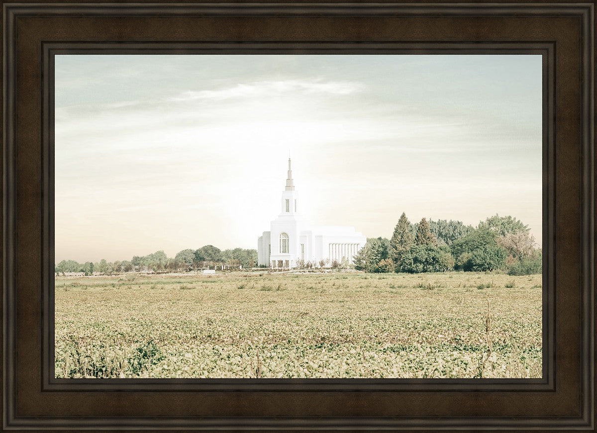 Burley Idaho Immaculate Embrace Pastel