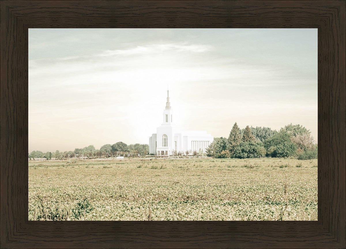 Burley Idaho Immaculate Embrace Pastel